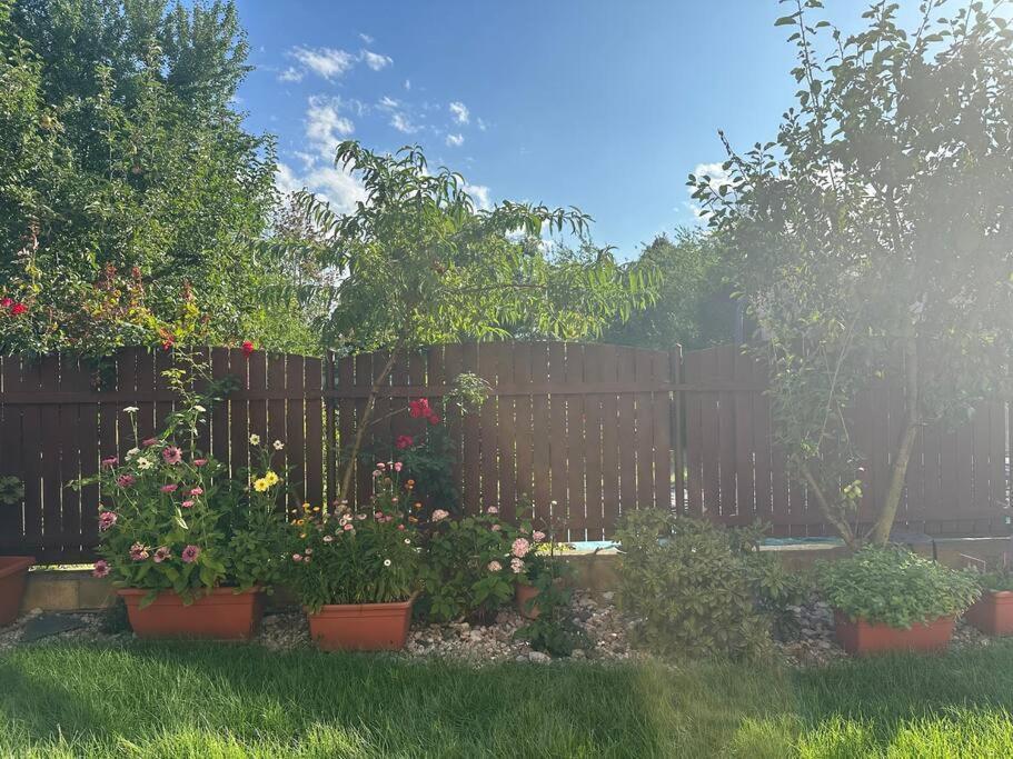 Apartmán Family-friendly 5 Praha