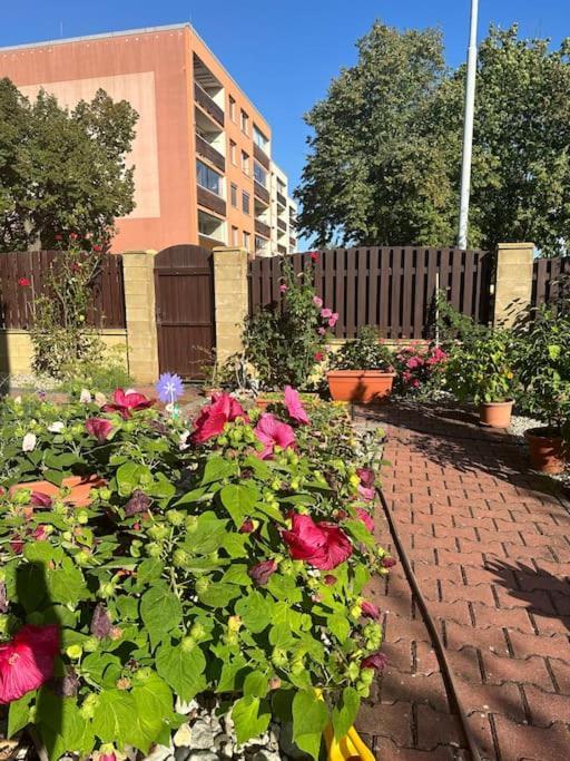 Family-friendly 5 Apartmán Praha